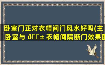 卧室门正对衣帽间门风水好吗(主卧室与 🐱 衣帽间隔断门效果图)